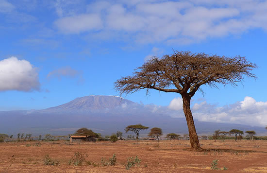 3 Days Kenya Road Safari to Tsavo and Amboseli